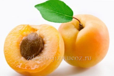 Лечение с помощью абрикоса – рецепты, польза и вред, абрикос полезные свойства и противопоказания